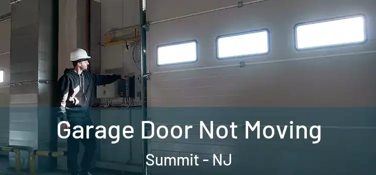  Garage Door Not Moving Summit - NJ