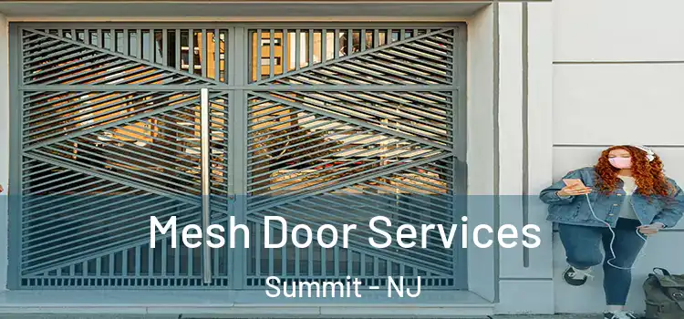  Mesh Door Services Summit - NJ